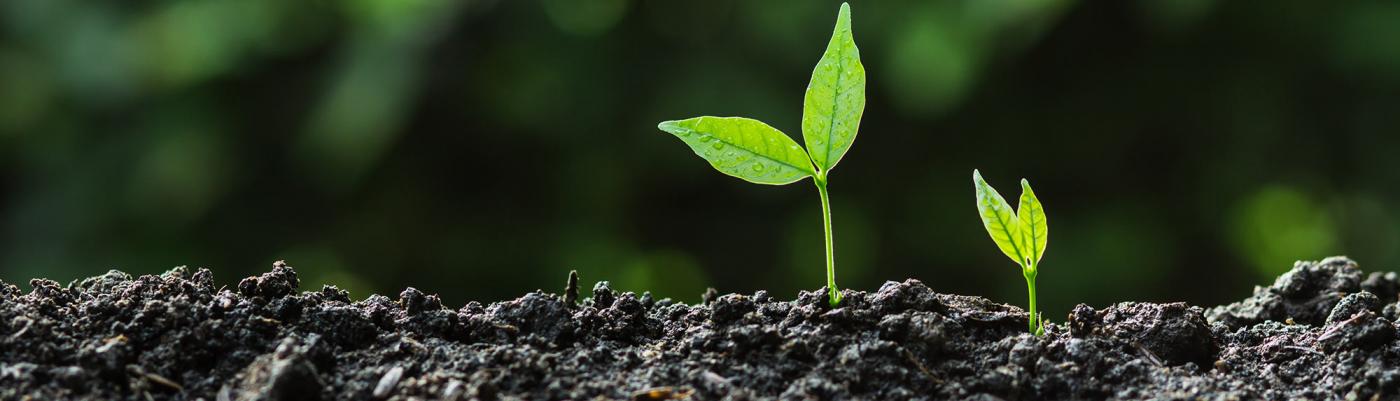EIS and SEIS Investments